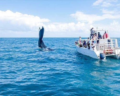 SAMANA TOUR