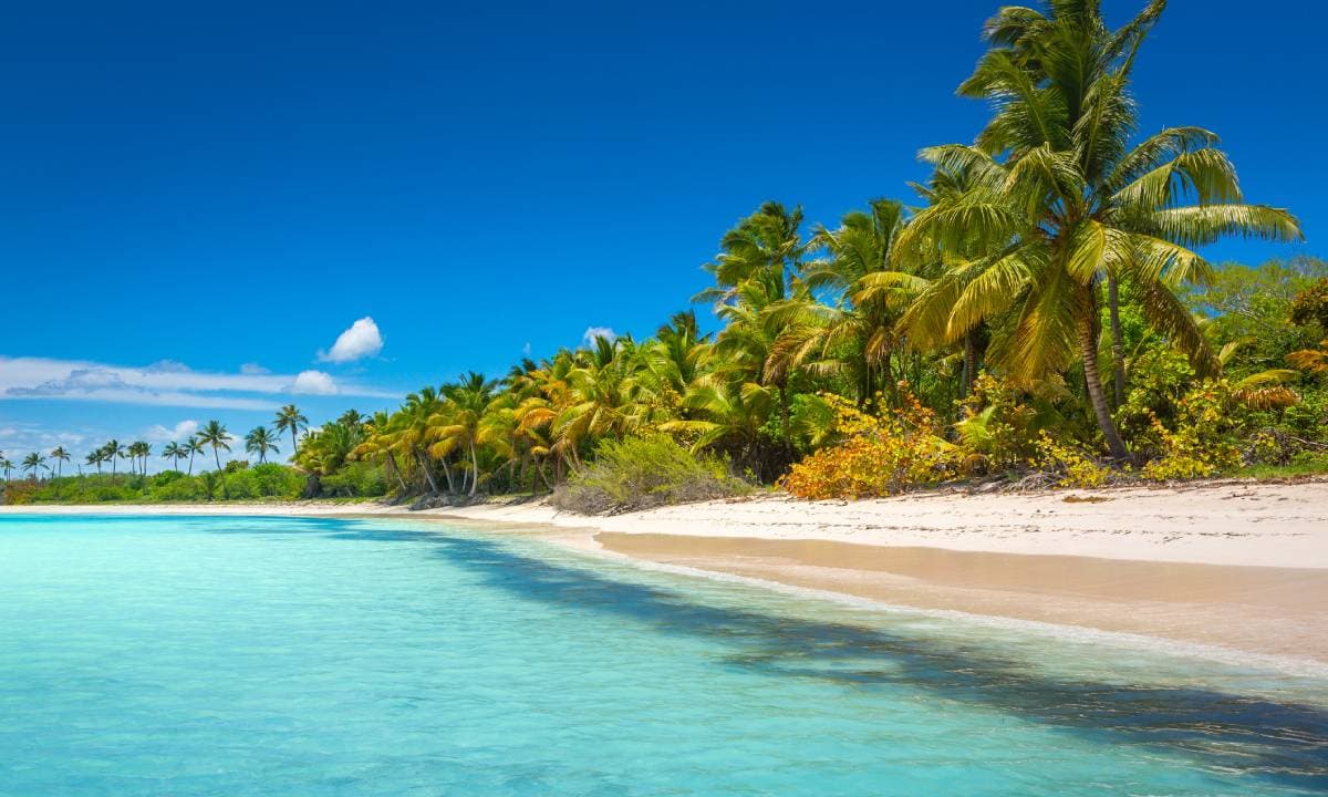 SAONA VIP 3 PLAYAS